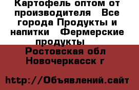 Картофель оптом от производителя - Все города Продукты и напитки » Фермерские продукты   . Ростовская обл.,Новочеркасск г.